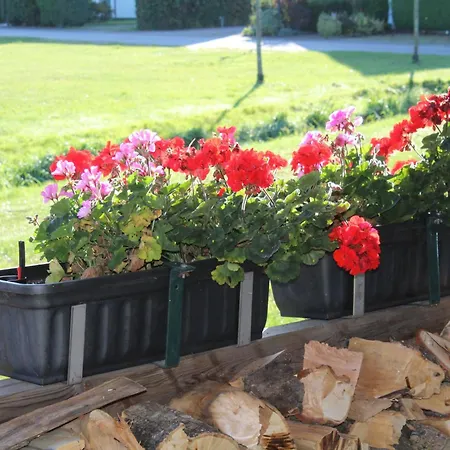 In Trassenheide, Wlan, Sitzecke Mit Grill *